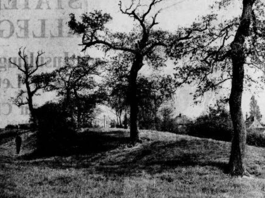 Came across this 70 year old photo in the Walsall Advertiser showing the site of two ancient burial mounds alongside the old Chester Road Brownhills. Whose graves were these and does anything of them survive?