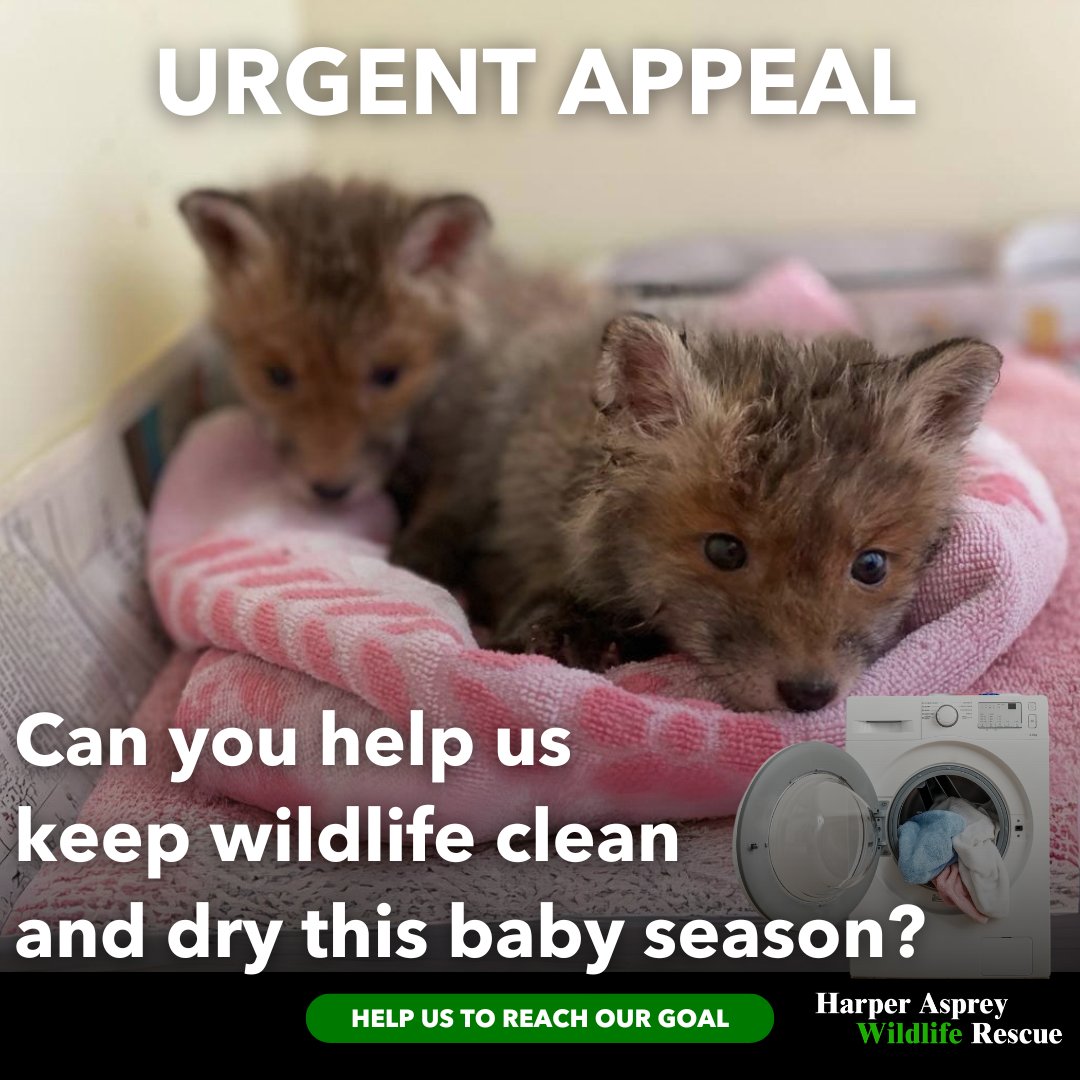 URGENT APPEAL. Can you help us keep our precious wildlife clean and dry? We need new washing machines. If you can help, we will be able to continue washing and drying the huge amounts of laundry we need to clean every day. Thank you 💚 #WildlifeUK 🙏🦊🍃 hawr.co.uk/?form=laundryf…