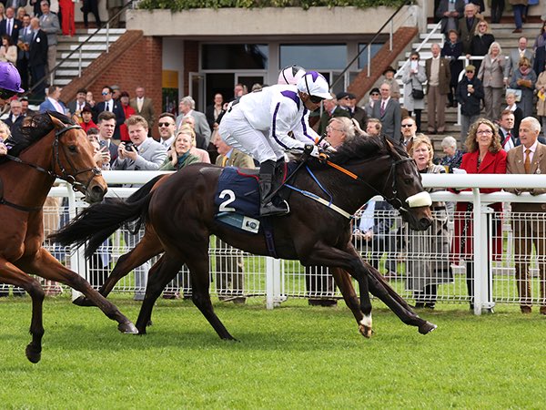 Tattersalls Online (@tatts_online) on Twitter photo ππ±ππ’ππ’π§π ππ°π¨-ππππ«-ππ₯π ππ«π¨π¬ππ² πππππ₯π’π§ππ¬ ππ’π₯ππππ«π ππ§ππ«π’ππ¬ ππ¨π« ππ‘π ππππππ«π¬ππ₯π₯π¬ ππ§π₯π’π§π πππ² πππ₯π
Recent Goodwood winner & potential Royal Ascot candidate ππππππ is one of four wildcard entries in the ππ±ππ’ππ’π§π ππ°π¨-ππππ«-ππ₯π ππ«π¨π¬ππ² πππππ₯π’π§ππ¬ ππ’π₯ππππ«π ππ§ππ«π’ππ¬ ππ¨π« ππ‘π ππππππ«π¬ππ₯π₯π¬ ππ§π₯π’π§π πππ² πππ₯π
Recent Goodwood winner & potential Royal Ascot candidate ππππππ is one of four wildcard entries in the