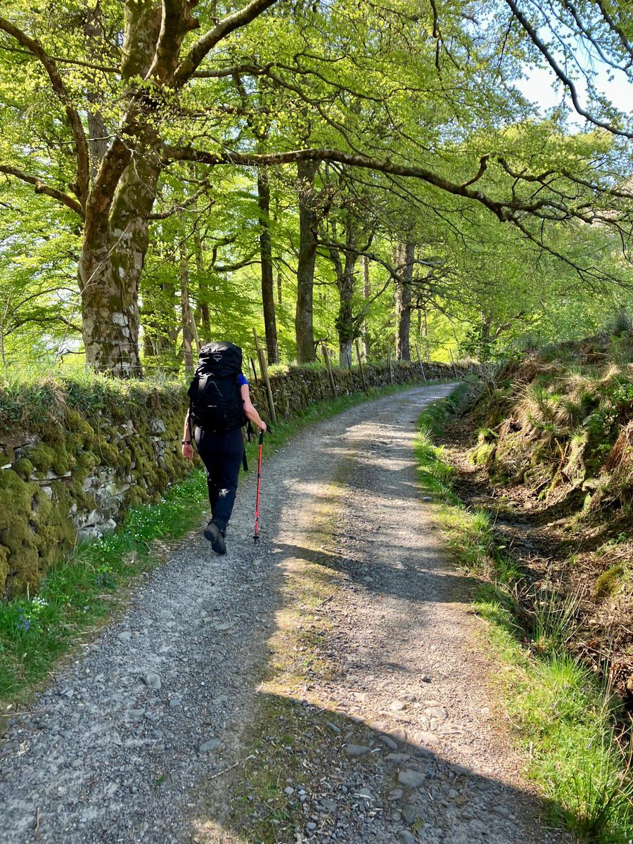 Incredible two days of hiking the Cape Wrath Trail. Scotland looking its best 🌞🏴󠁧󠁢󠁳󠁣󠁴󠁿💙. Lovely to hear cuckoos and see so many wildflowers. But look forward to more rewilding & the return of diversity and native trees 🙏 #rewilding #CapeWrathTrail #Hiking #Scotland🏴󠁧󠁢󠁳󠁣󠁴󠁿