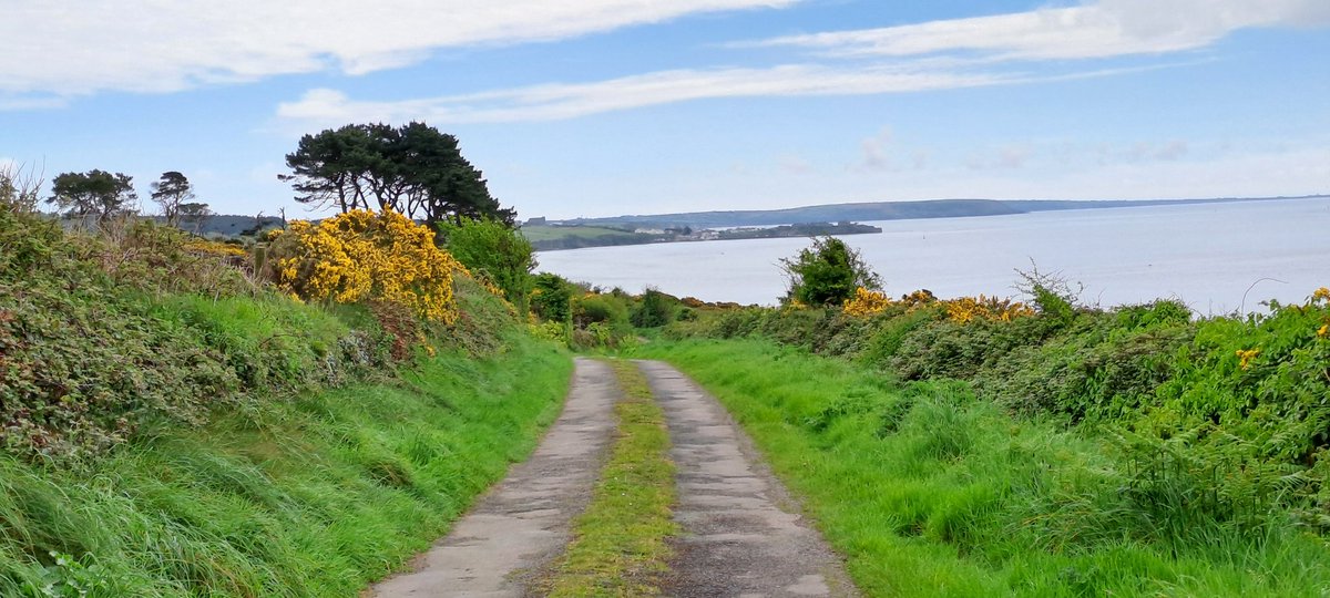 Continuing our #Maydaymile challenge for #RNLI @DunmoreEastRNLI today and it brought us to Ballyhack and Arthurstown #Wexford you can see our daily progress here
fundraise.rnli.org/fundraisers/an…