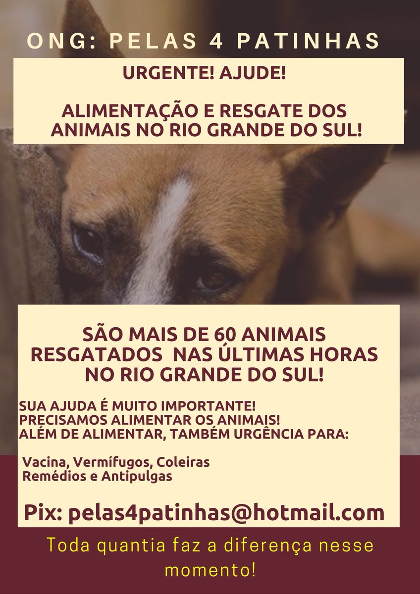 URGENTE TODAS AS VIDAS IMPORTAM!VAMOS AJUDAR OS ANIMAIS TAMBÉM🐾💔 A Pelas 4 Patinhas e VOCÊ pelos animais no Rio Grande do Sul O Guaíba está atingindo o maior nível da história TODO VALOR CONTA 👉RT RT 👉DOAÇÕES PIX pelas4patinhas@hotmail.com 👉PicPay: PicPay.me/pelas4patinhas