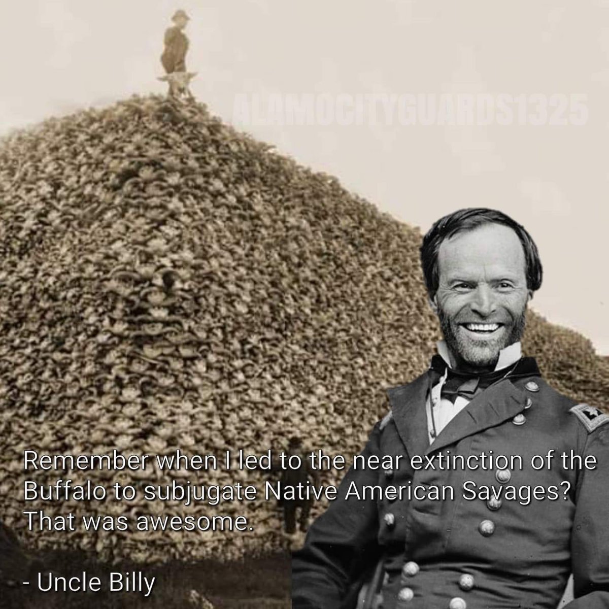 The majority of the Northern people didn’t care about minorities at all. General Sherman, as commander over the forces against the Indians, wrote a letter to President Grant expressing his views: “We must act with vindictive earnestness against the Sioux, even to their…