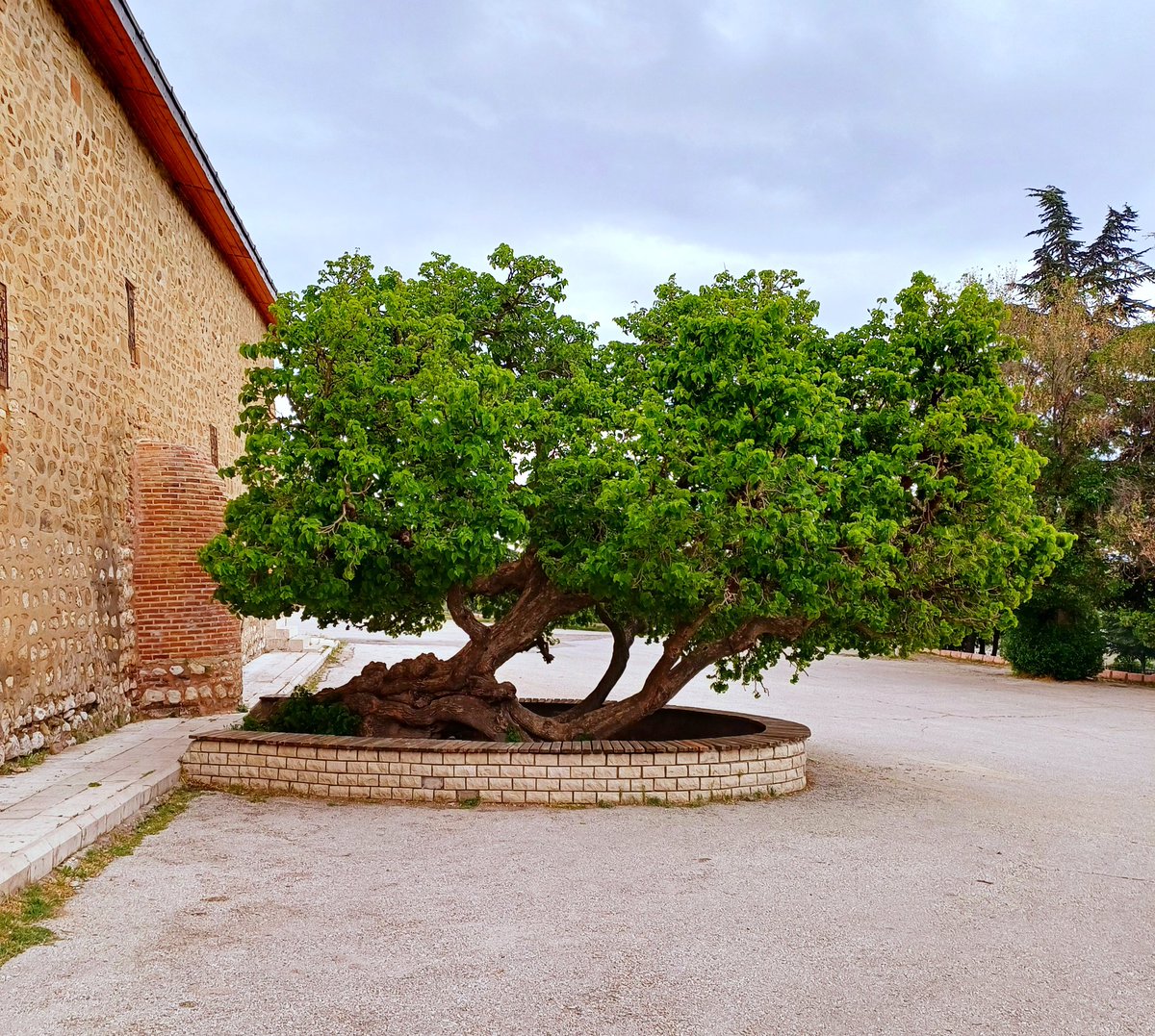 Harput Ulu Camii bahçesinden