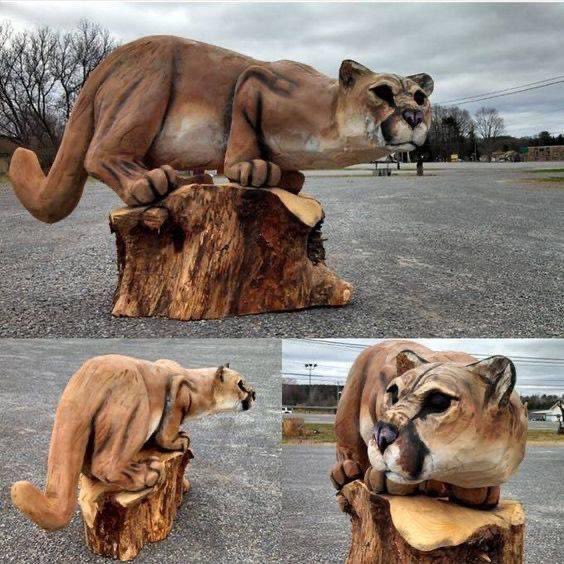 Chainsaw Carving of Mountain Lion by Jon Vincent.

 🌏 💚