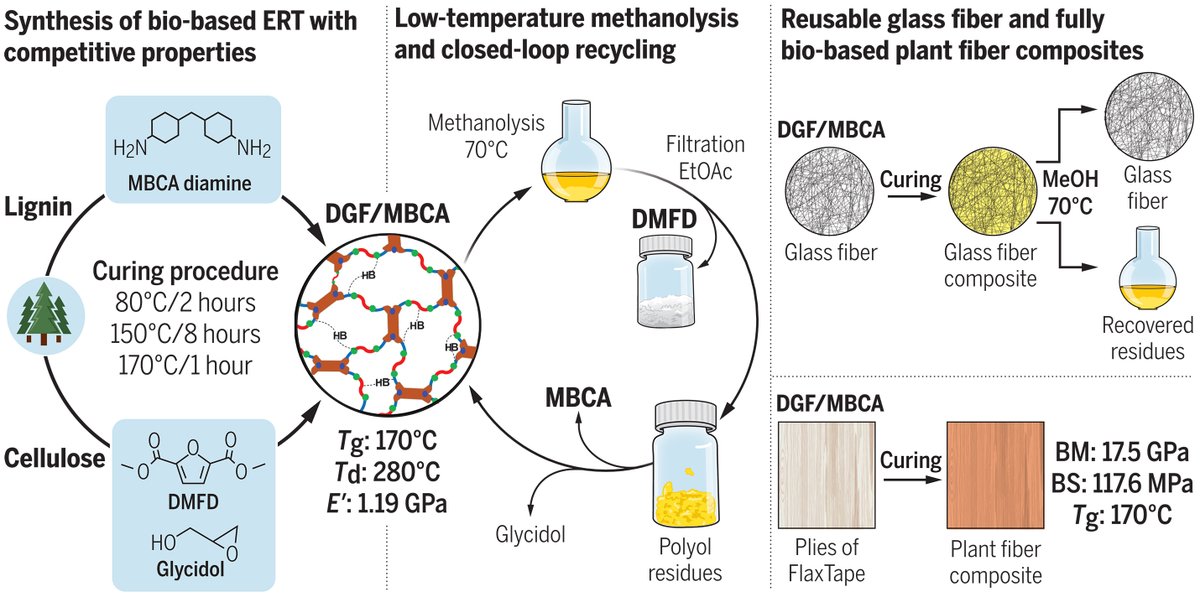 In Science, researchers present a strong, heat-resistant plastic completely derivable from renewable plant material that can be easily broken down in methanol.

Learn more: scim.ag/6Q5