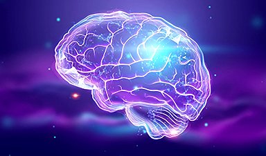 New Hope for Neurological Disorders: Scientists Have Discovered How an Essential Nutrient Enters the Brain nanoappsmedical.com/new-hope-for-n… cc. @tantriclens @HeinzVHoenen @cellrepair777