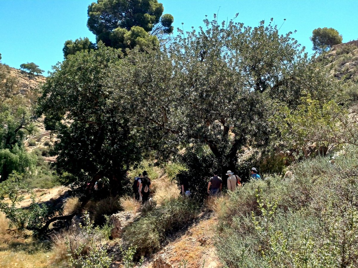 TugaiKhan's tweet photo. Algunas imágenes☀️📷🌾de la Ruta Fotográfica en La Molineta organizada por @AsvLapalmera y @serbalmeria he podido observar flora endémica y del termomediterráneo almeriense. Y las vistas maravillosas que hay de la ciudad y la bahía de Almería desde aquí, un balcón al mediterráneo https://t.co/umgS4XfH0c