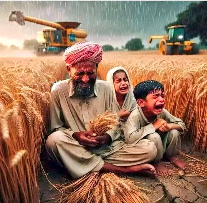 The farmers in Pakistan have been abandoned to fend for themselves. The government of Pakistan imported wheat unnecessarily, likely to siphon off funds obtained by selling ammunition to Ukraine. Nearly a billion dollars remain unaccounted for, while locally produced wheat is…