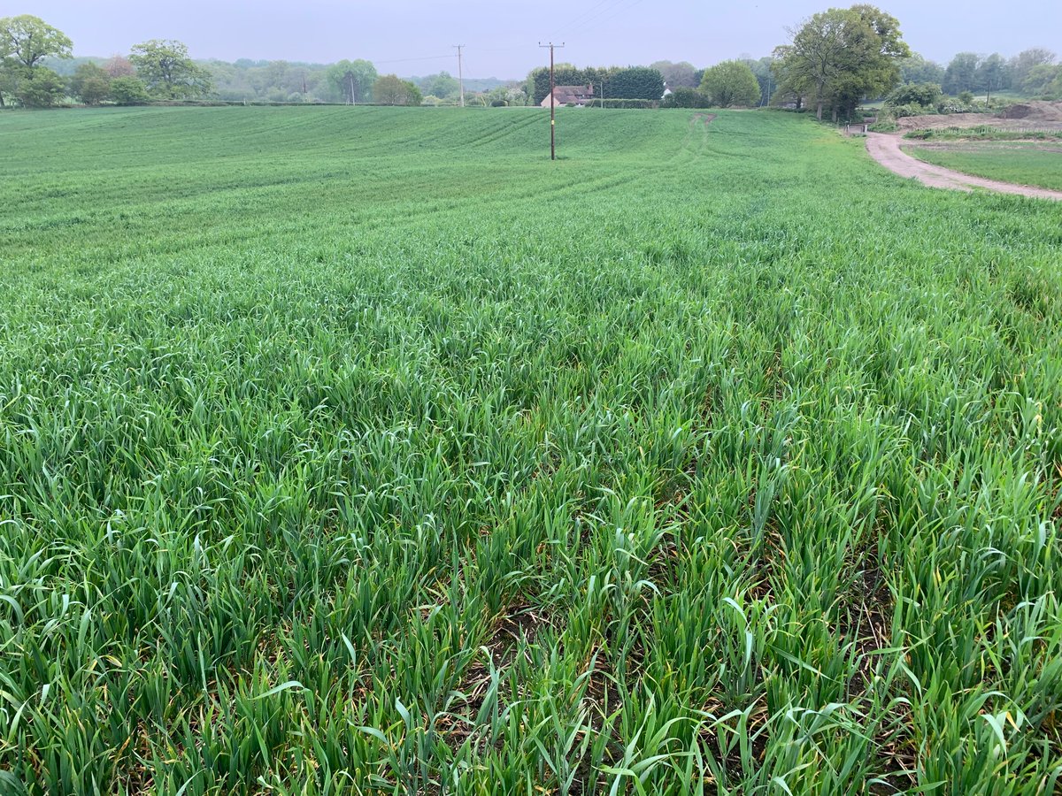 Clyde Jones tweet media