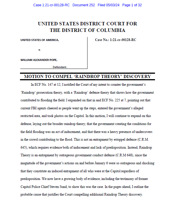 Last night I filed four new motions, including a Motion to Compel 'Raindrop Theory' Discovery. This theory was created by the Court and has been used by the government to pin the behavior of the entire crowd on individuals. But the government also had individuals in the crowd,…