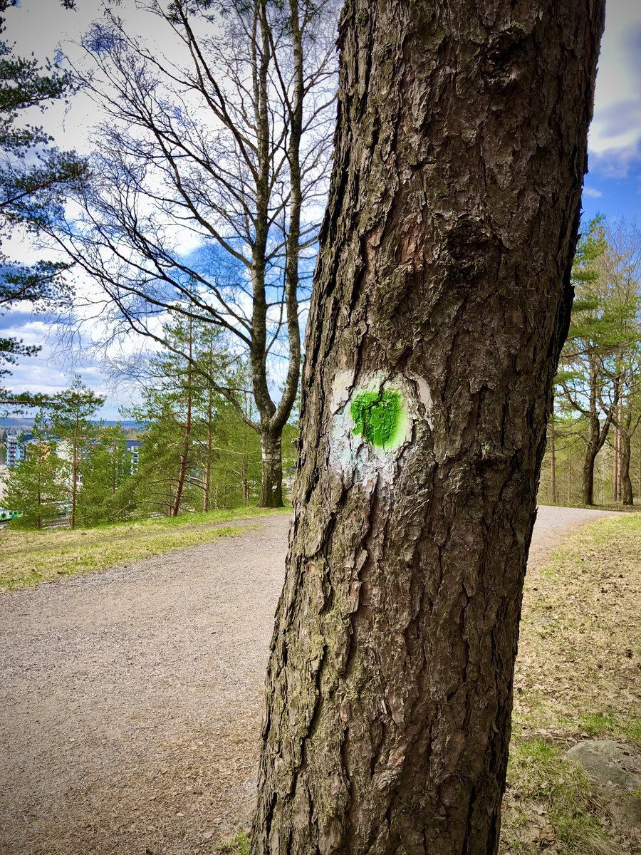 helip_j's tweet photo. Lenkillä 👋 Lauantai ~ ehtoota kamut eli ihan jokaiselle . #Radiomäki #Lahti #ihanan #kaunis #kevät #päivä #keltainen #toukokuu 💙💚💜❤️🧡 https://t.co/Pw2CcSYYJx