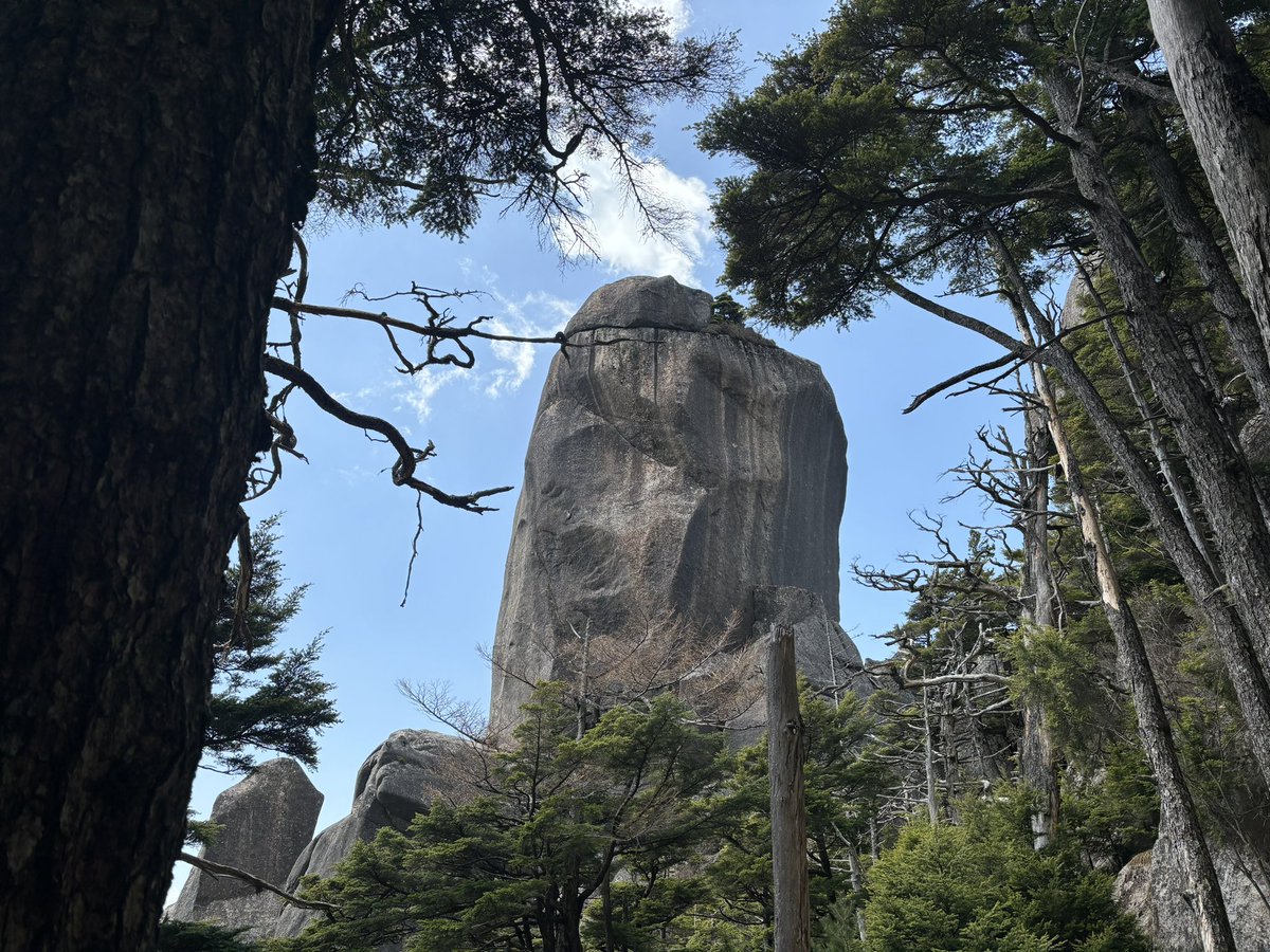 thousand_leaf4's tweet photo. ひっさびさに山登った https://t.co/NsIyv82LZz