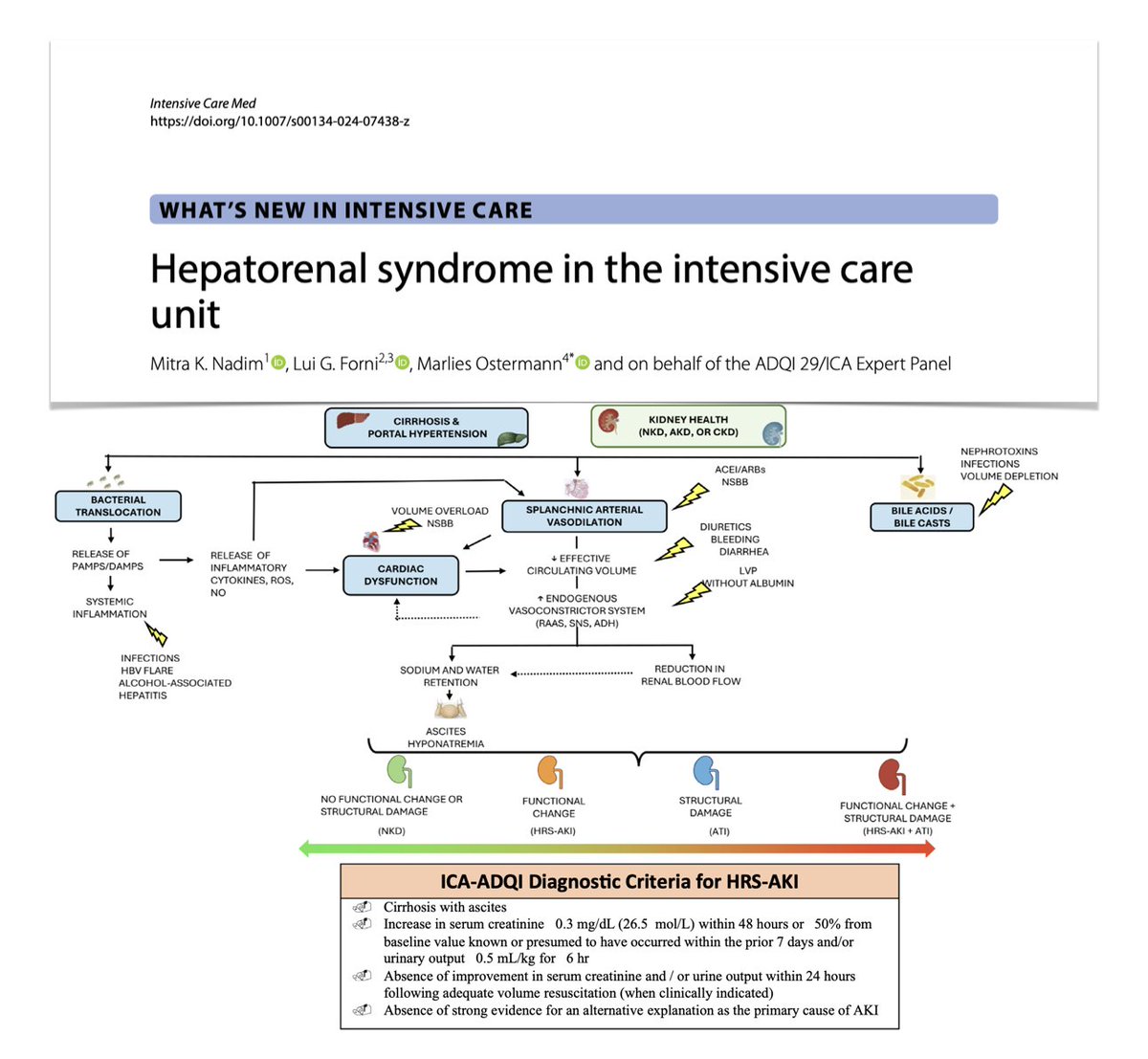Hepatorenal syndrome in the #ICU 🫘 diagnostic criteria for #AKI & hepatorenal syndrome ⚙️ specifc management of HRS–AKI 🧪 role of biomarkers in AKI phenotyping Free to read #FOAMcc on @yourICM 🔓 rdcu.be/dGQHz