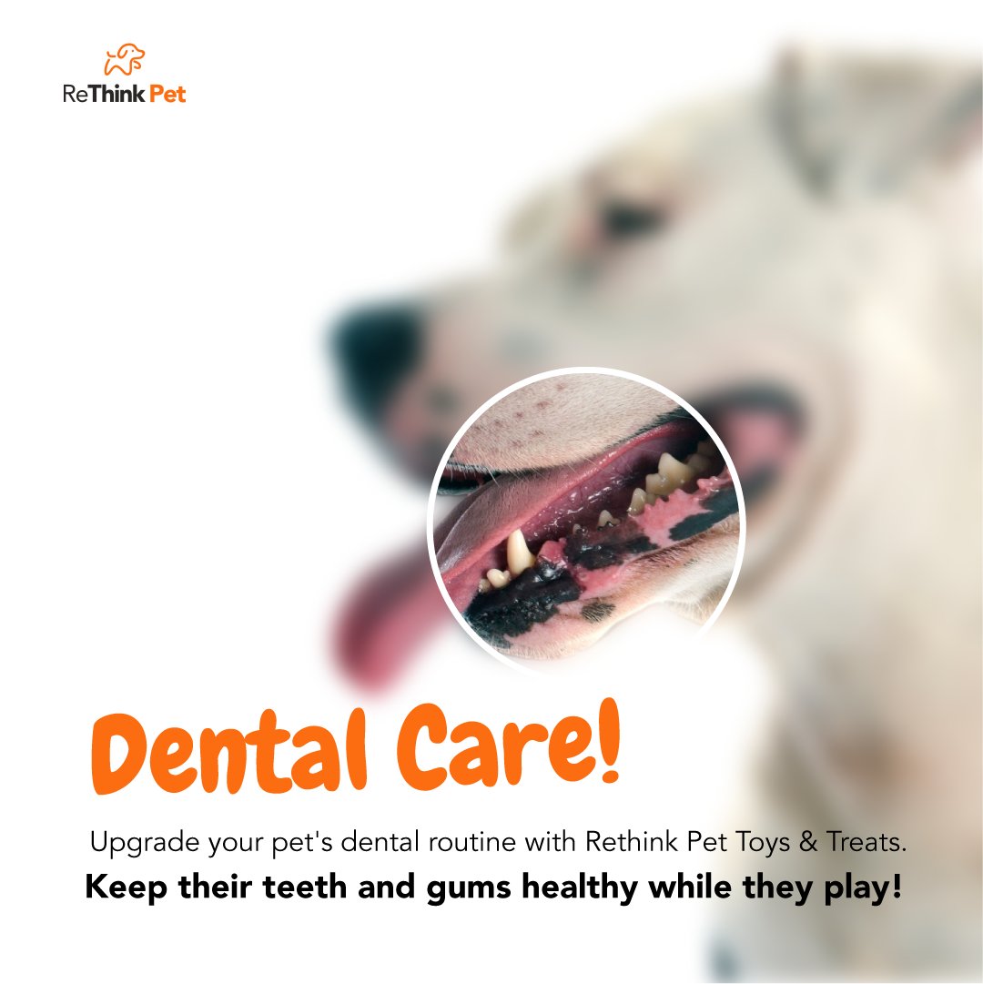Keep your dog's smile bright and their health in check with Rethink Pet's dental toys and treats. Because a happy pet starts with a healthy mouth! 🦷🐾 #DentalHealth #HappyPets
