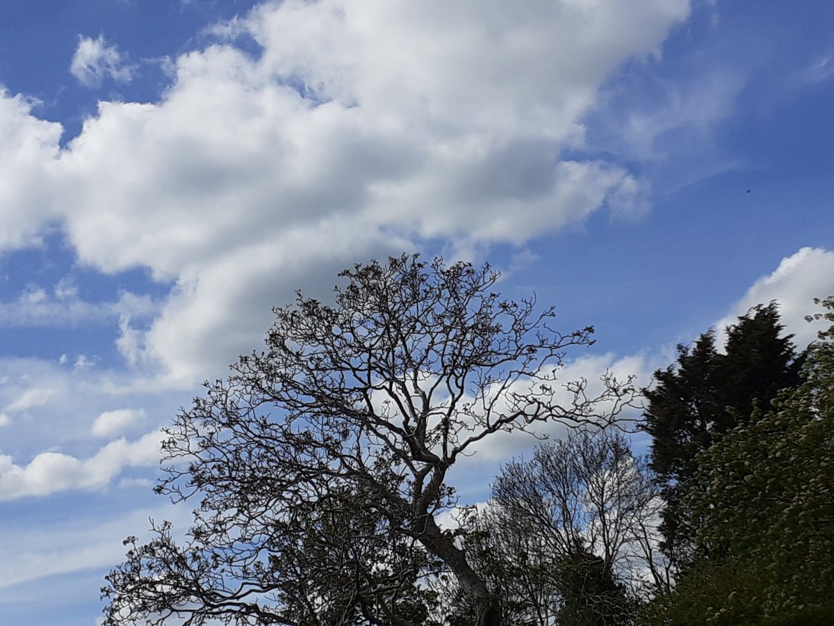 Awesome sky over Lichfield this afternoon.
This pic doesn't really show the full glory of it, but trust me, it's beautiful...