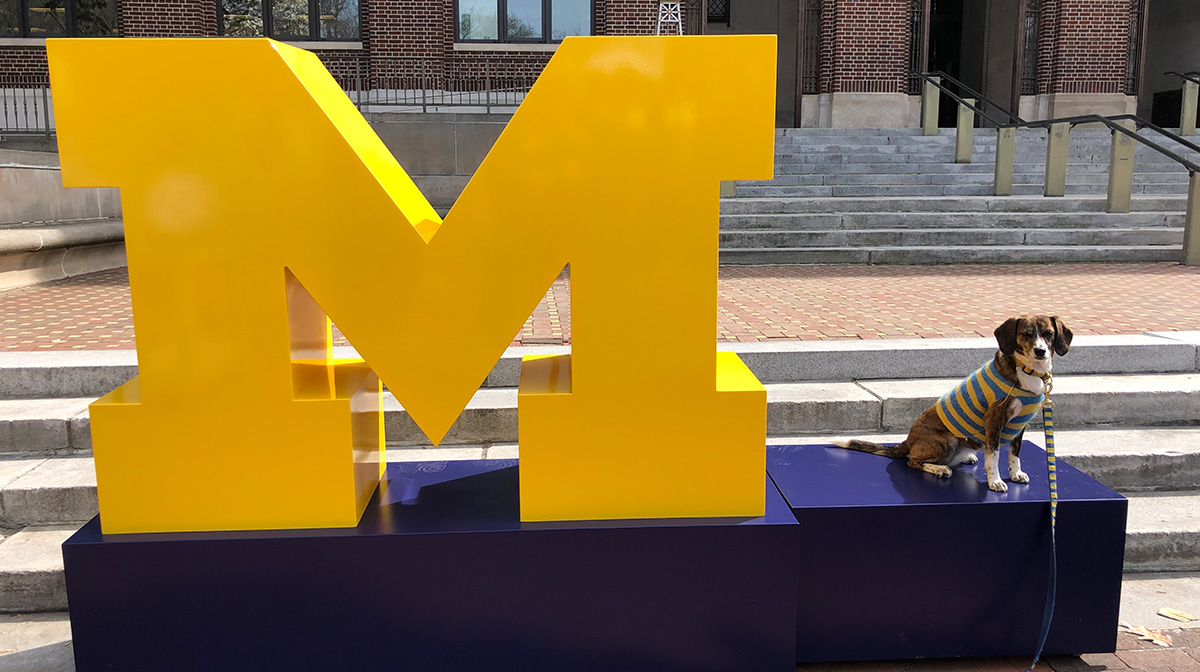 You made it to the end, grads! We're here cheering you on and encouraging you to keep growing, changing, and learning! #MGoGrad #GoBlue