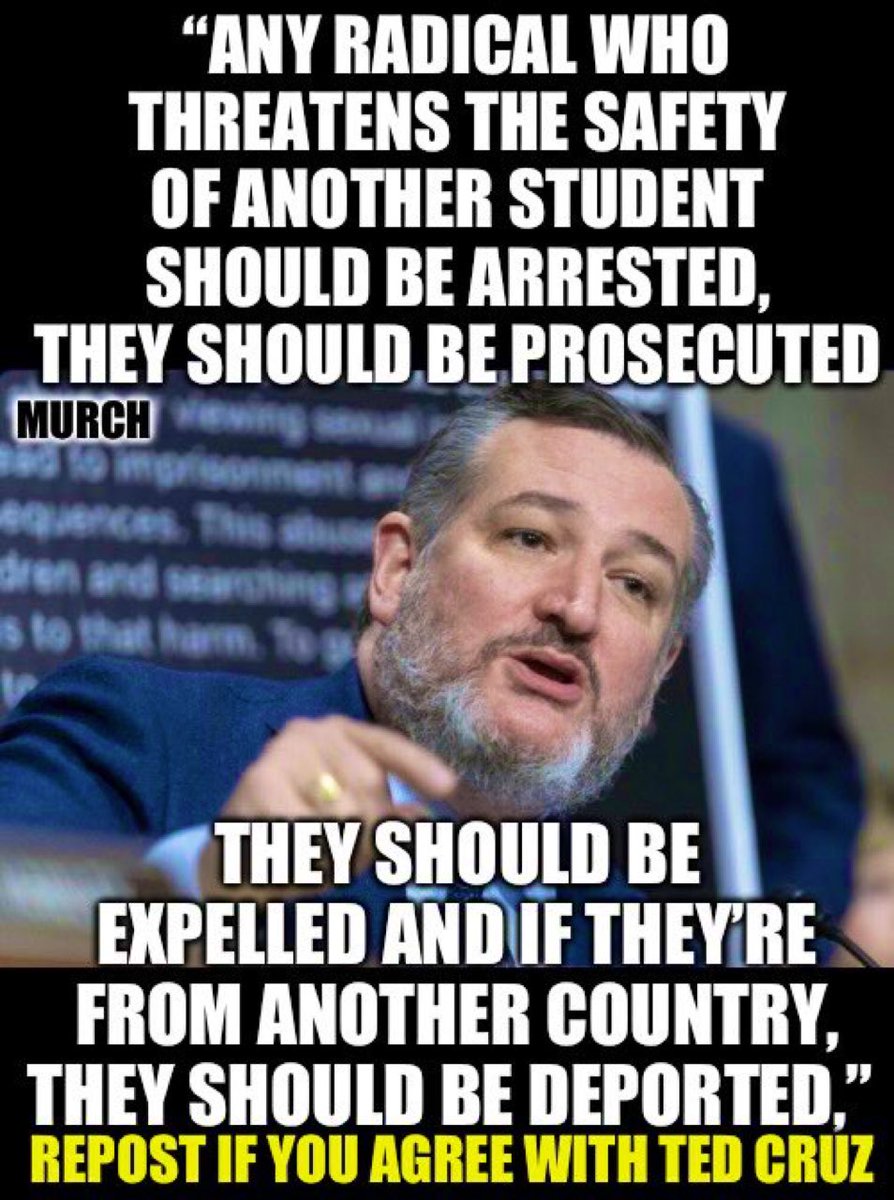 Who agrees 100% with Ted Cruz that we shouldn’t go lightly on them but they should all be arrested, prosecuted, expelled and deported if they are foreigners? 🙋‍♂️