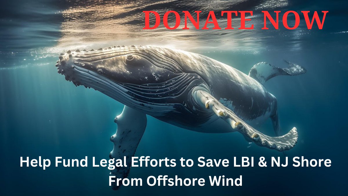 The planned #OSW project by @ATLShoresWind for LBI NJ, lacks clear, countervailing benefits to justify its exorbitant monetary costs to electricity users and taxpayers, as well as the environmental and economic damage it entails. tinyurl.com/ywn7d235