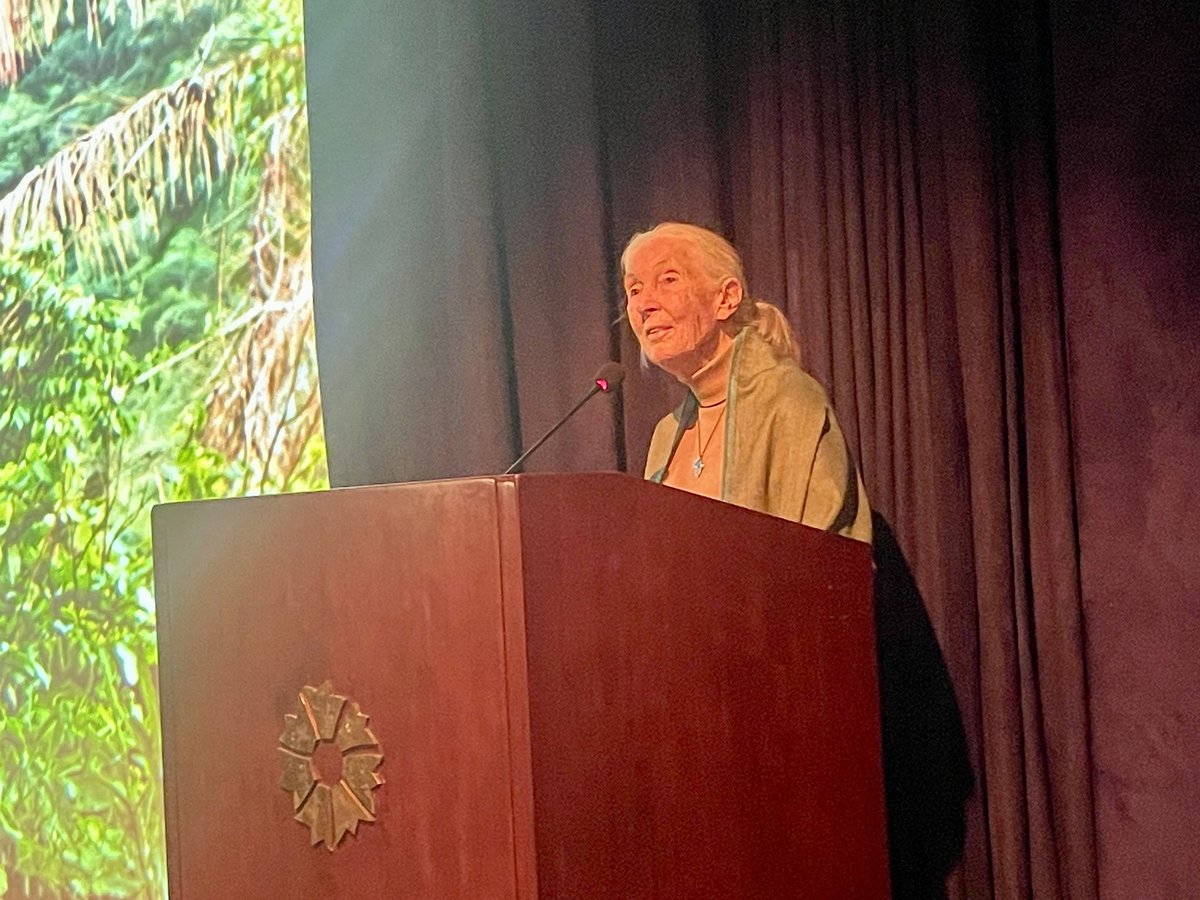 Dr Goodall, who carries out inspirational work on protecting nature, combating climate change and eliminating environmental injustices, is in Türkiye as part of the Roots & Shoots programme which is present in more than 65 countries. @JaneGoodallInst @rootsnshootsTR