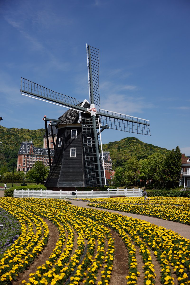 seph_tree's tweet image. #ハウステンボス ①
ミッフィーもミッフィー以外も見所多くて楽しめました☺️