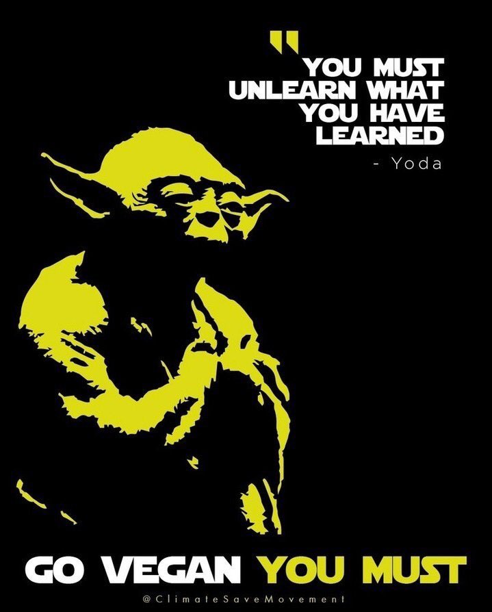 We have so much to unlearn. 
May the 4th be vegan! 🖖

What do I have to unlearn, you ask?
WatchDominion.org to learn the truth. 

#BeVegan 🌱