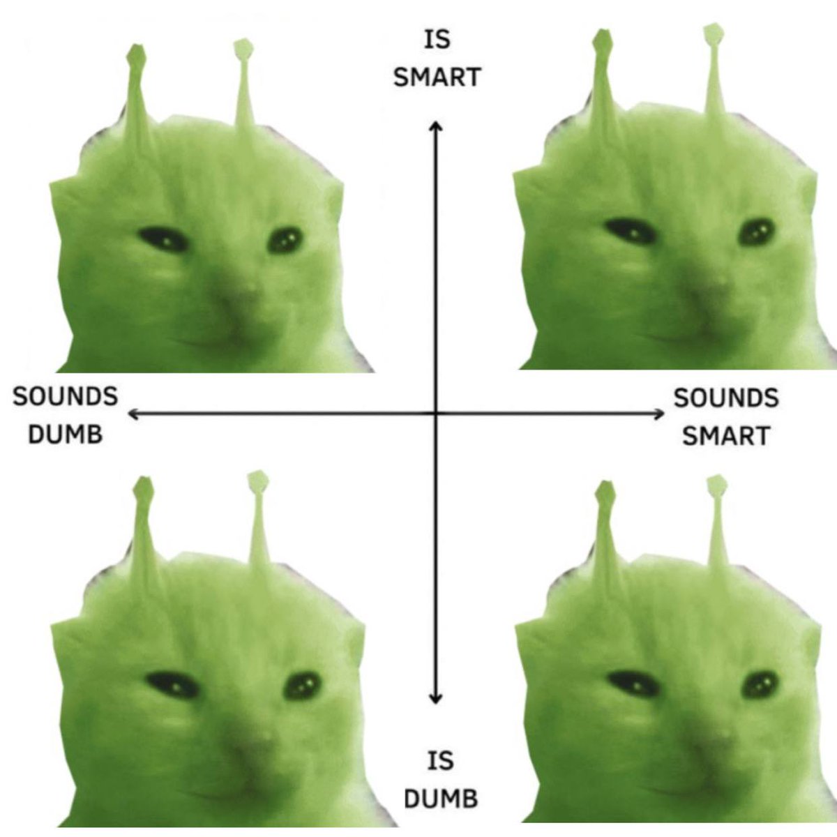 glorp smart, sound smart glorp