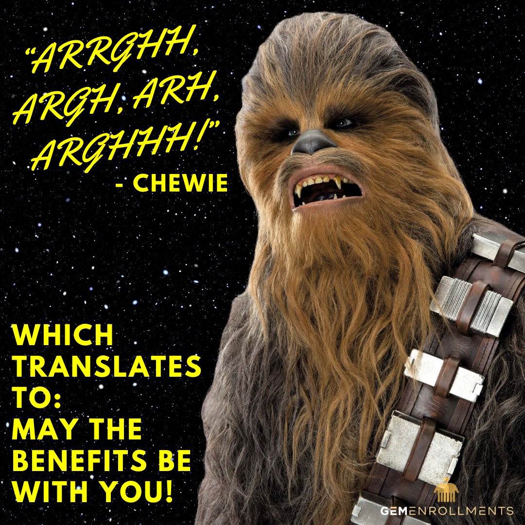 🌟✨ 'May the benefits be with you!' ✨🌟

May your benefits bring you peace, prosperity, and the force to thrive! 🚀💪 

#MayTheFourth #GEMEnrollments #GalacticSuccess #BenefitJedi