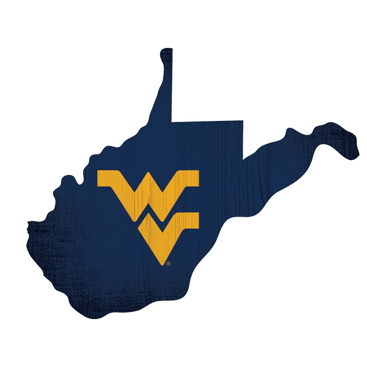 A true blessing! The University of West Virginia offered!!! @CoachChadScott @MarshallMcDuf14 @jshea407 @BayAreaLAB @Andrew_Ivins @ChadSimmons_ @SWiltfong_ @TeamTampa813