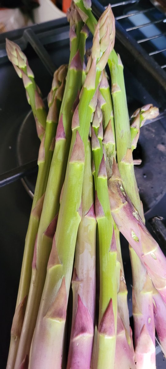 After a very busy @Creakeabbey Farmer's Market with @sonofchristie85 
 and a cup of tea with the  birthday girl @Brays_Cottage, I dropped a much desired plant off to another friend who cut me some Asparagus from their bed. Tea sorted!