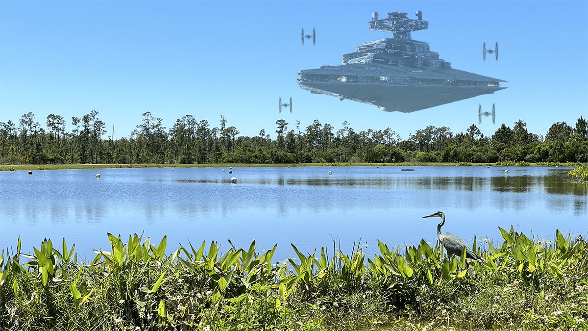 Beautiful, sunny day in #CollierCounty.............wait.........IT'S A TRAP 🚨 

#Maythe4thBeWithYou