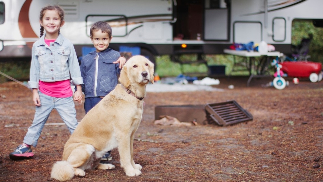 Did you know that RV travel allows you to bring your furry friends along for the ride?  Say goodbye to pet sitters and boarding kennels, and hello to quality time with your beloved pets.  🐾❤️ #RVpets #travelwithpets #madisonwi #wisconsinrvworld