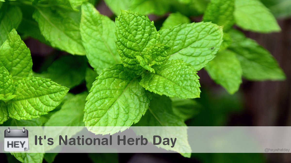 It's National Herb Day! 
#herbs #NationalHerbDay #HerbDay