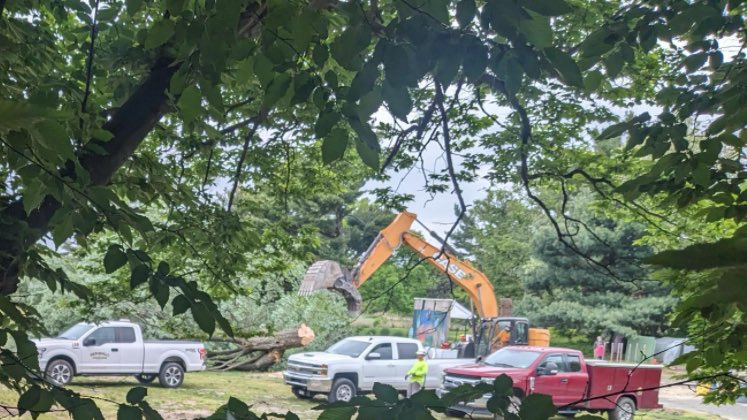 A few years ago, some folks at FDR park asked @SSSpittingCobra and I to paint a mural for the Meadows. We were thrilled to! The space was a gorgeous respite for everyone to see nature! Now @myphillypark is destroying heritage trees to put in astroturf fields. It’s sickening.