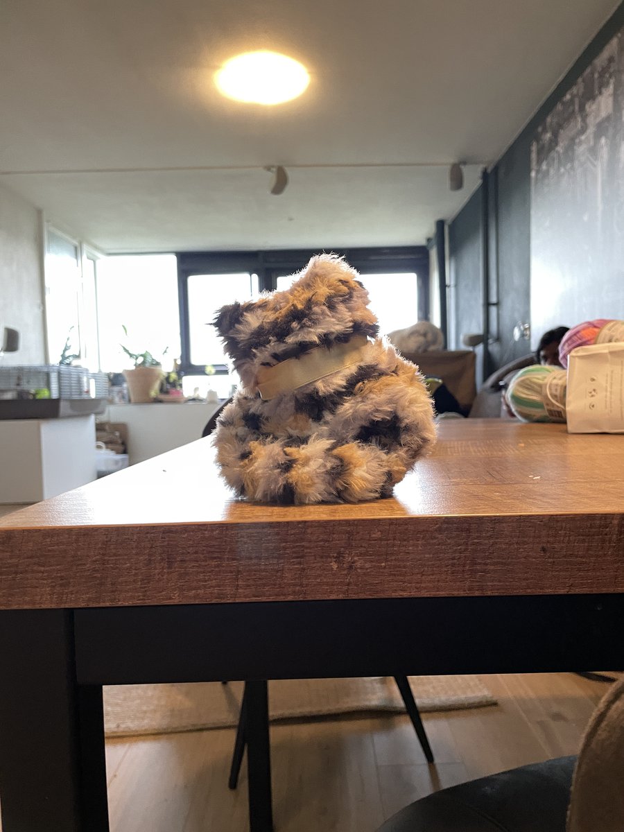 Hurrah! Finally OWLET the kittycat is finished! Read his story: instagram.com/p/C6jIV76i-BN/… #LoomKnitting #Caturday #Cats #Plushies #Blindness #BlindKnitter #Huggables #Hugs #Friends