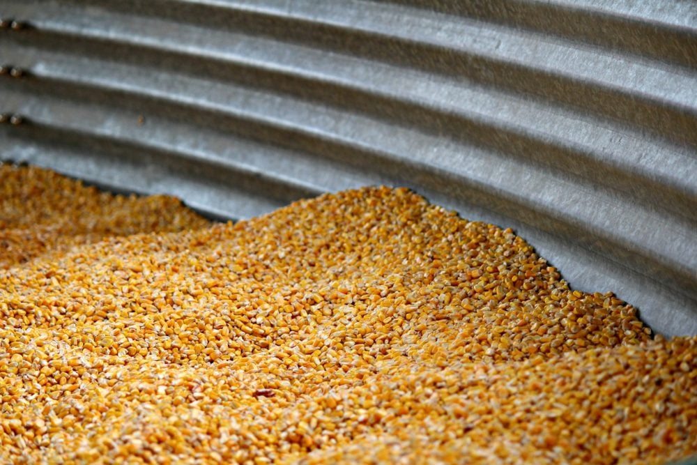 Feed grain weekly: Seeding well underway in Alberta. albertafarmexpress.ca/daily/feed-gra…