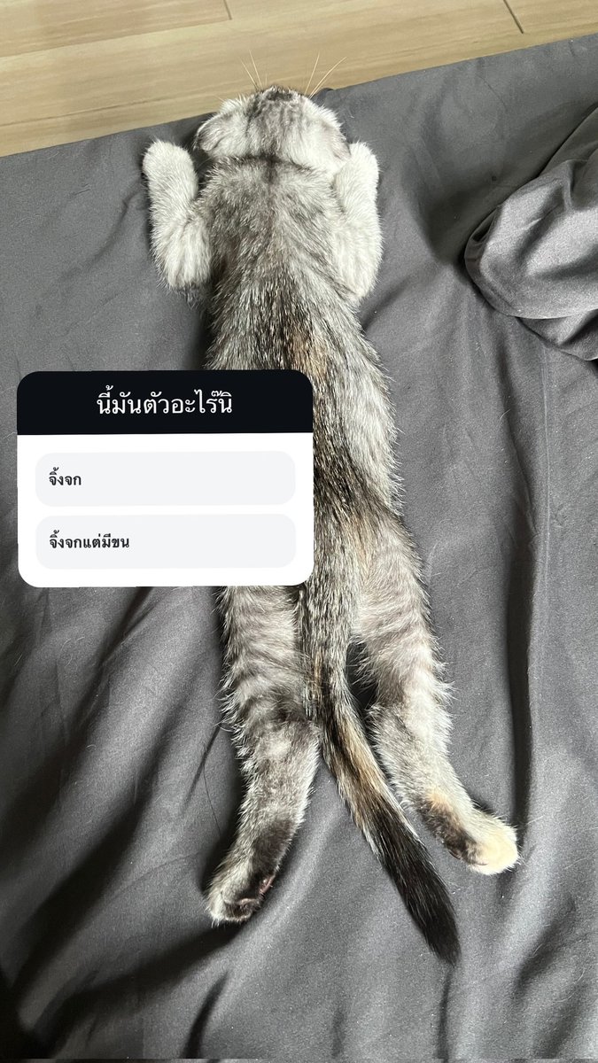 ๐๐ซ๐๐ญ_๐๐๐ฆ๐ญ๐๐ซ๐จ ๐
๐๐ง๐๐ฅ๐ฎ๐ tweet media