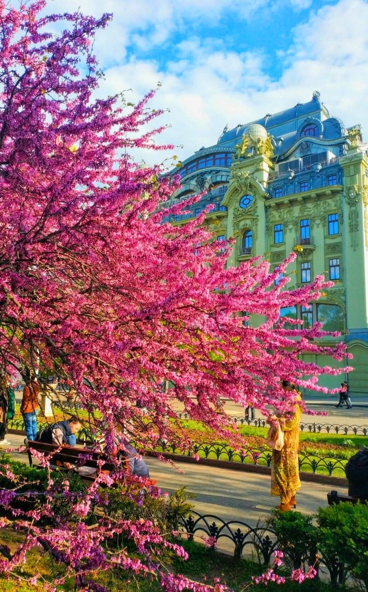 🏡🌺 The delicate petals fluttering in the wind seem to beckon to you. The sweet fragrance of the flowers is intoxicating and dizzying. Birds sing, bees buzz, butterflies flutter. When you close your eyes, you can immediately imagine that you are in a paradise garden ✨ #Odesa