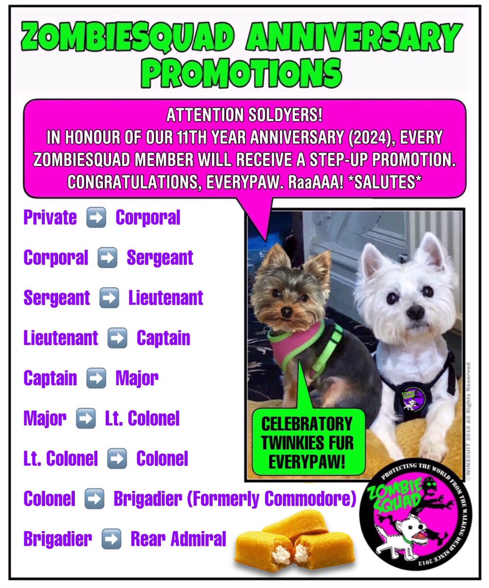😃 ATTENTION ZOMBIESQUAD SOLDIERS‼️ In honor of FOUNDERS DAY Everyone gets a promotion today, please see below and congratulations 🎉 #ZSHQ