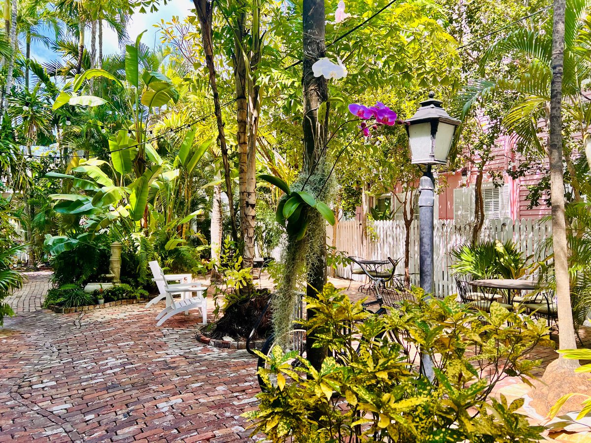 Just showed a home in Old Town with an amazing backyard. Gary McAdams, Key West Realtor, eXp Realty, 305-731-0501.

#keywest #keywestrealestate #keywestrealtor #garymcadams #garymcadamsrealtor #FloridaKeysRealEstate #MLS #garymcadamskeywest #realestate #floridakeys #KeyWestHomes