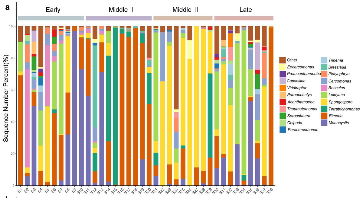 𝗡𝗲𝘄 𝗽𝗮𝗽𝗲𝗿 𝗶𝗻 𝗽𝗿𝗲𝘀𝘀 𝗶𝗻 𝙋𝙖𝙧𝙖𝙨𝙞𝙩𝙚:

Metabarcoding of protozoa and helminth in black-necked cranes: a high prevalence of parasites and free-living amoebae
🔜parasite-journal.org