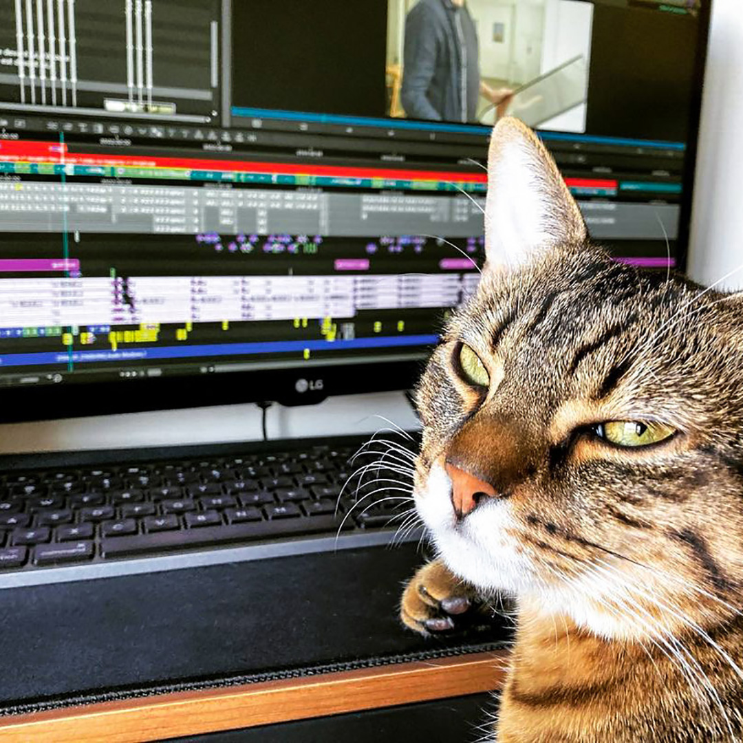 😾 MORE editorial notes?!
📷 instagram.com/baitong_9286
▶️ avid.com/media-composer

#videoediting #avid #editorialnotes #cat #mediacomposer #postproduction