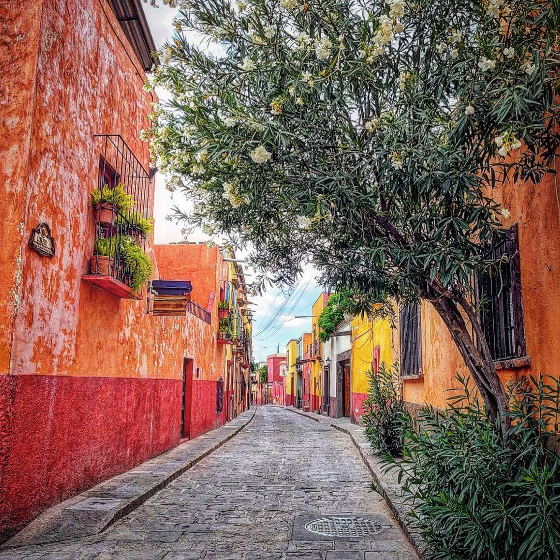 #BUENOSDÍAS.- Hoy te damos los buenos días desde un rincón de San Miguel de Allende, con una callecita colorida y llena de artesanías ¿sabes cuál es? Mientras empezamos¿vamos por un rico #cafecito?

#sanmigueldeallende  #mexico