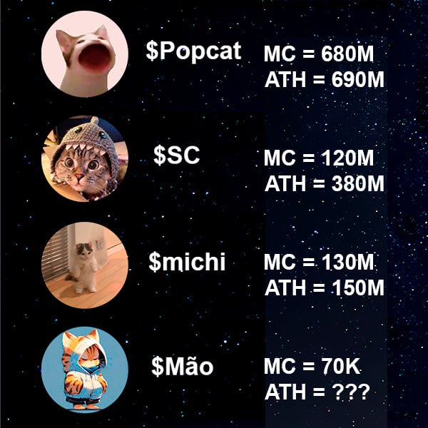 Little update for CTO Cats right now.

Congrats <a href="/POPCATSOLANA/">$POPCAT</a> for ATH 🔥
<a href="/SharkCatSolana/">Shark Cat 🦈🐱</a> Team working hard to hit new ATH 🔥

<a href="/michionsolana/">michi</a> will not stop aswell 🔥

Māo is x15 on Day 2 of CTO 🔥🔥🔥

MEOW MEOW MEOW MEOW