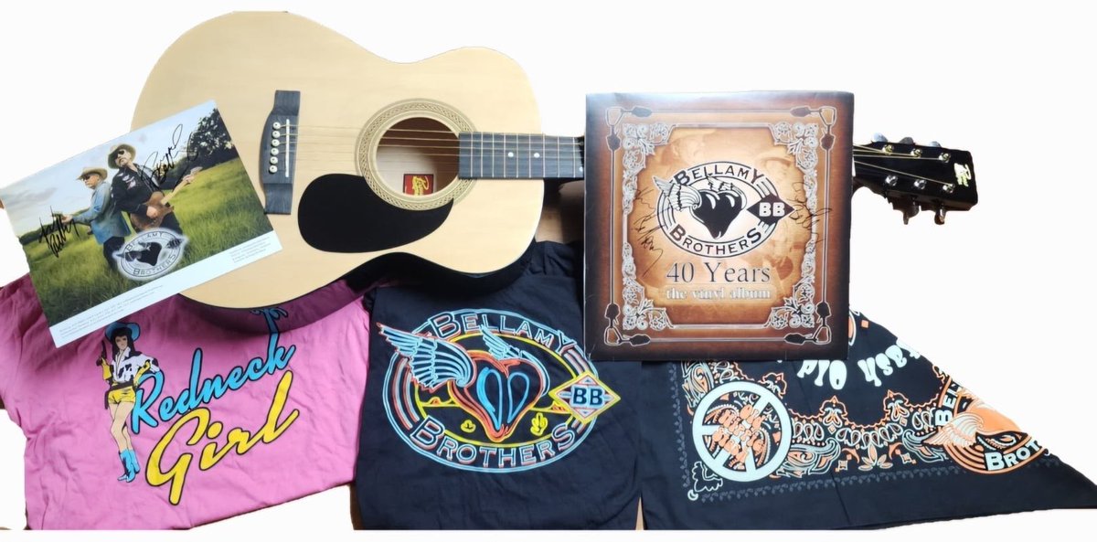 We are thrilled to be supporting @cecharities with our auction on @Charitybuzz! We are auctioning off a personalized and signed Rogue guitar and a collectible merch bundle. Place your bids now through May 14th. bit.ly/3JHDcRW