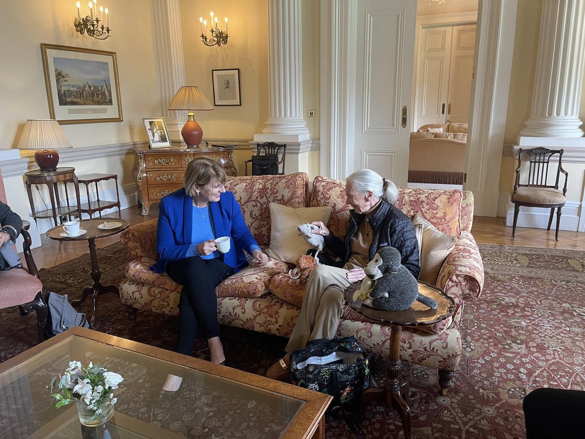 . @UKinTurkiye, @trBritish ve @PeraMuzesi, dünyaca ünlü çevreci, primatolog ve antropolog Dr. Dame Jane Goodall'ı @rootsnshootsTR iş birliğiyle bir konuşma yapmak üzere, bir panelde misafir etti. @JaneGoodallInst