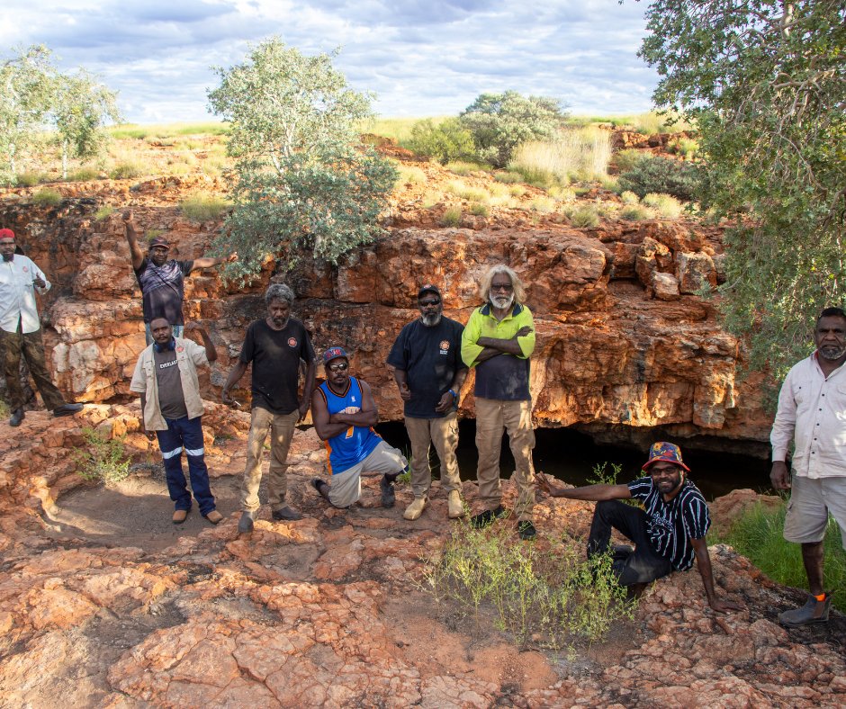 Over 3 nights #KJMartuRangers checked the health of 13 rock holes, soaks + wells. Finding signs of #Camels at each + #BuffelGrass prevalent at 5 sites. These #InvasivePests threaten #CulturalSites + habitats of #IconicAustralianSpecies. Rangers monitor + manage these threats.