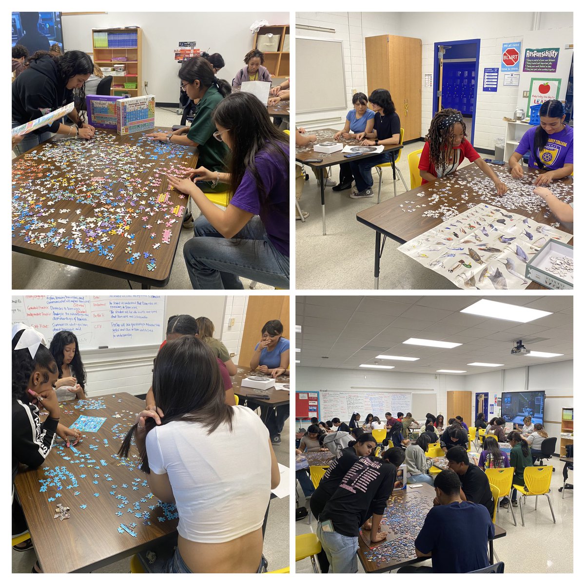 Tanya Morris (@tanyamorris3444) on Twitter photo It’s on…1000 pieces Puzzle Challenge!
#DayofDesign2024
<a href="/ShotwellMS_AISD/">Shotwell Middle School - Aldine ISD</a> <a href="/AISD_MSScience/">Aldine_MSScience</a> <a href="/ShotwellMS_AISD/">Shotwell Middle School - Aldine ISD</a> It’s on…1000 pieces Puzzle Challenge!
#DayofDesign2024
<a href="/ShotwellMS_AISD/">Shotwell Middle School - Aldine ISD</a> <a href="/AISD_MSScience/">Aldine_MSScience</a> <a href="/ShotwellMS_AISD/">Shotwell Middle School - Aldine ISD</a>