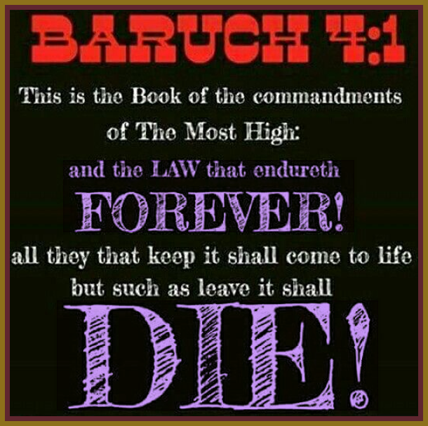 2021Marcel's tweet photo. Tradition was to work during the Day.
And rest in the evening night till morning.
YAHUAH worked during the day and rested from evening till morning.
The 7th Day Sabbath rest was a rest from a work day, not a rest from sleeping.
Have a joyful #7thDaySabbath Brothers and Sisters. https://t.co/9ag6qbFdDv