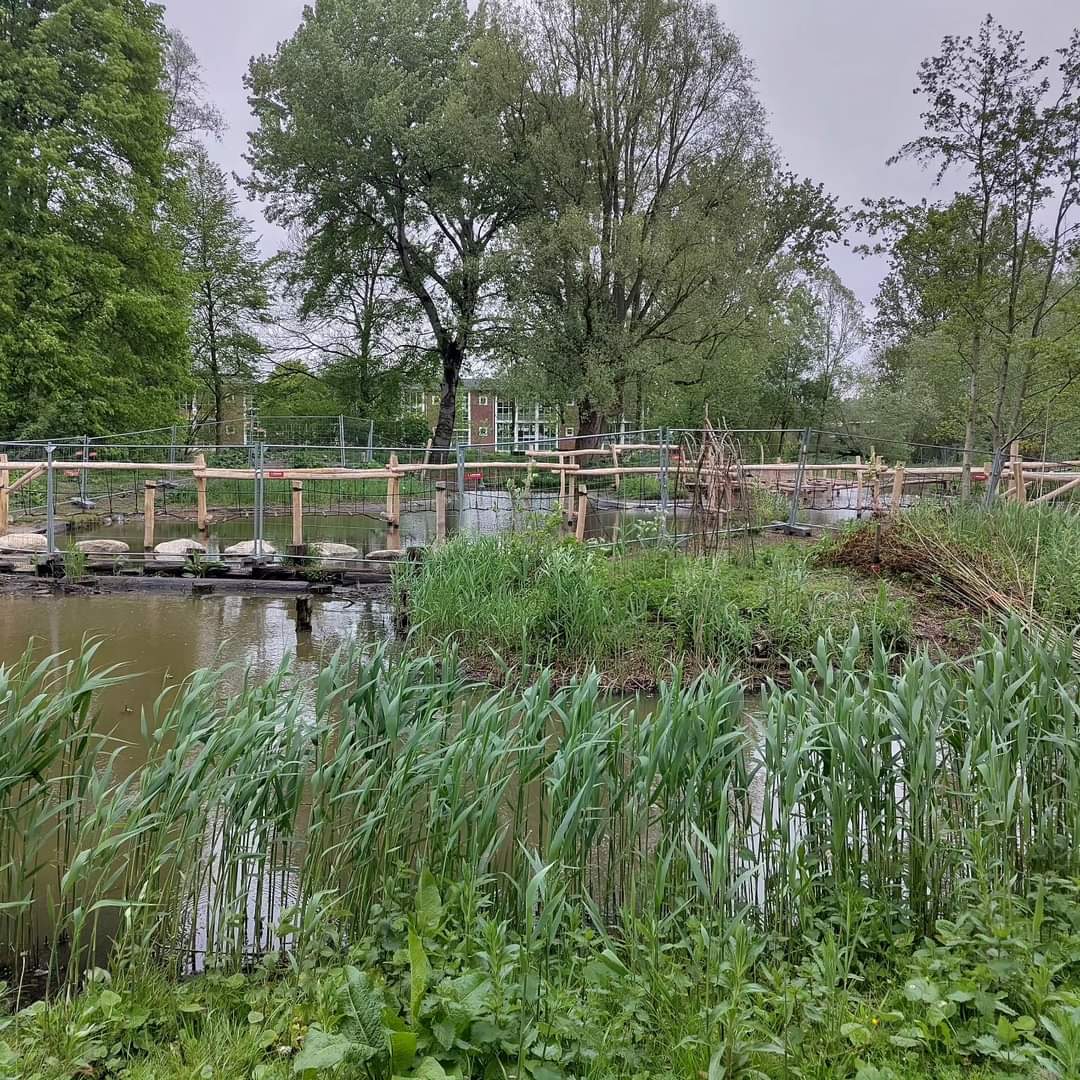 Gemeente Amsterdam heeft helaas flink geblunderd bij de oplevering van de hernieuwde speeltuin. Hierdoor staat die nu vanwege onveiligheid in de hekken. 
Er is aangegeven dat het een prioriteit is dit z.s.m. op te lossen. Wij verwachten deze week nog <a href="/AmsterdamNL/">Gemeente Amsterdam</a>?! #meivakantie